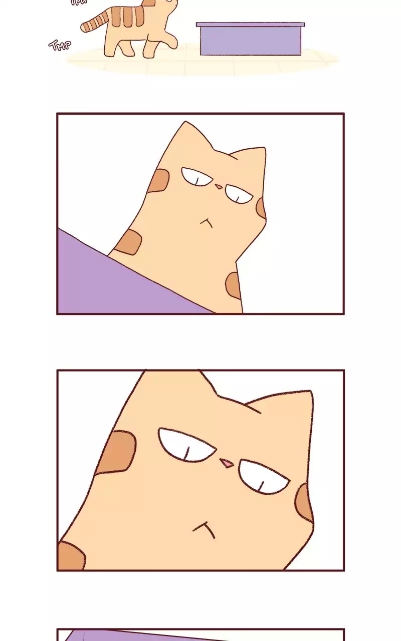 Saphie: The One-Eyed Cat Chapter 203 page 2 - Chapter 203: Late