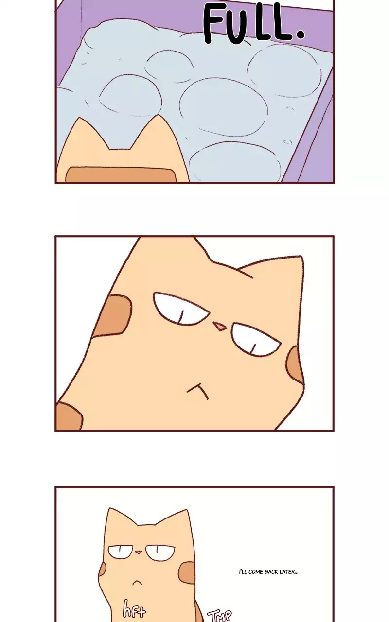 Saphie: The One-Eyed Cat Chapter 203 page 3 - Chapter 203: Late