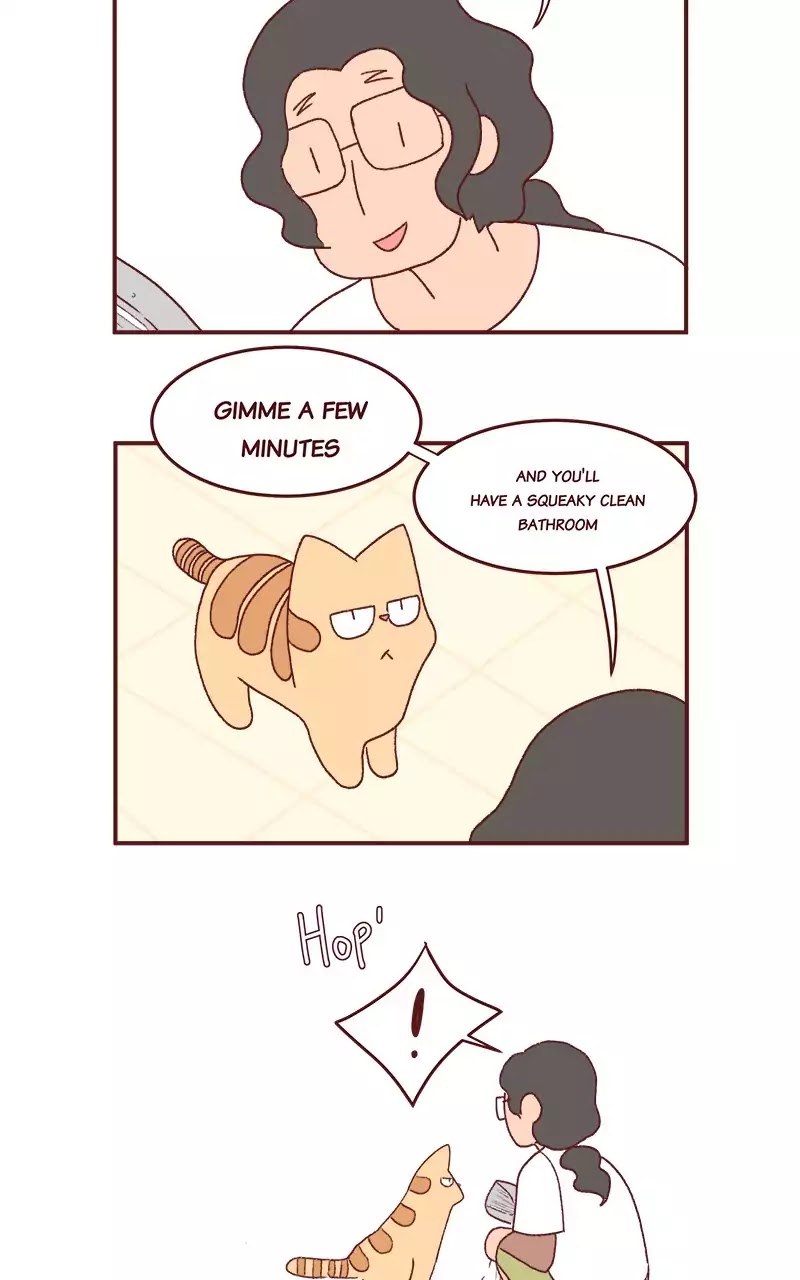 Saphie: The One-Eyed Cat Chapter 203 page 5 - Chapter 203: Late