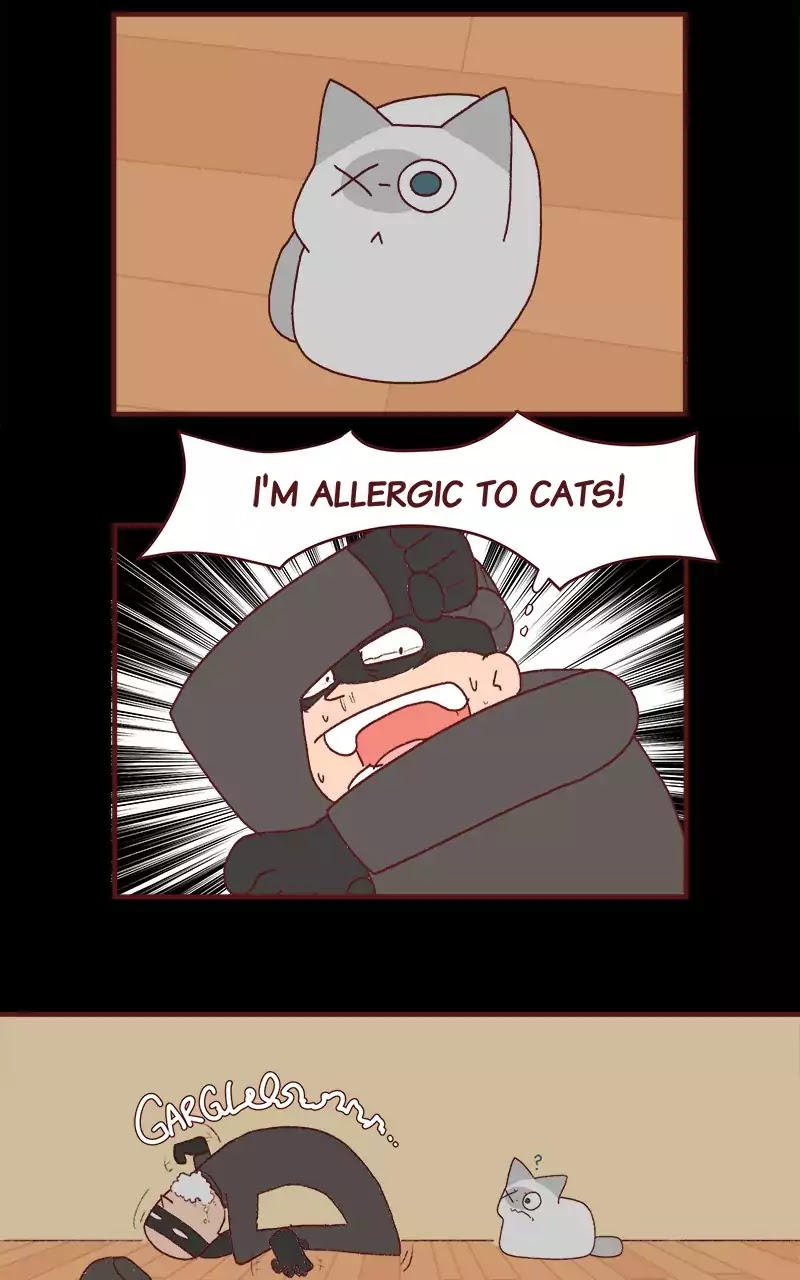 Saphie: The One-Eyed Cat Chapter 204 page 5 - Chapter 204: Break In