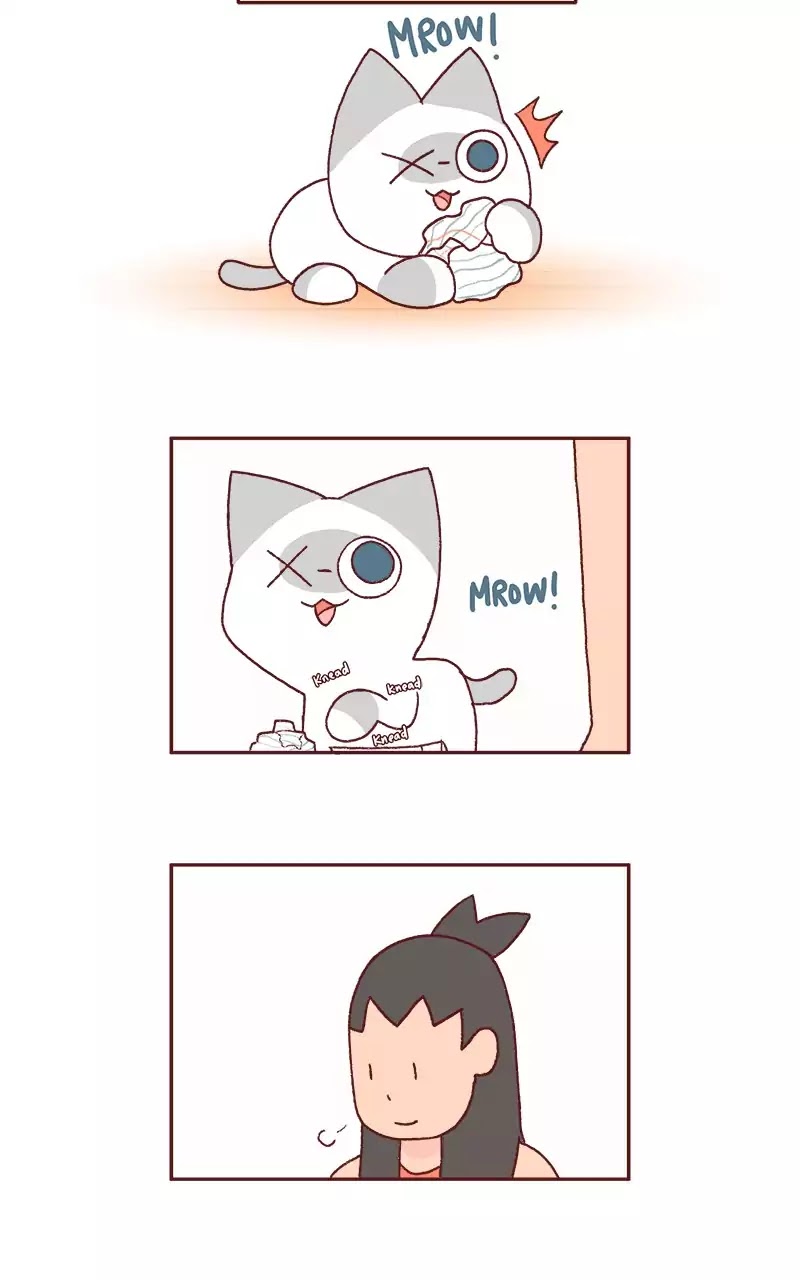 Saphie: The One-Eyed Cat Chapter 206 page 3 - Chapter 206: Defying Gravity