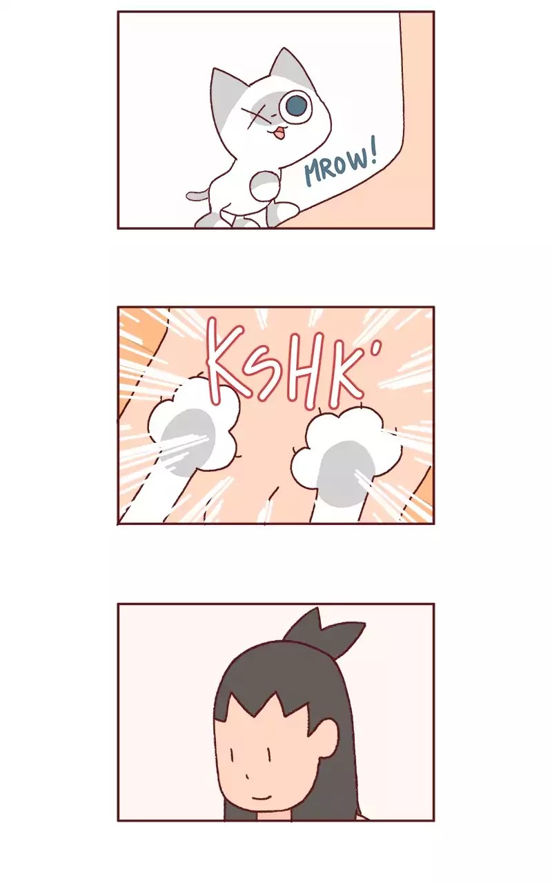 Saphie: The One-Eyed Cat Chapter 206 page 4 - Chapter 206: Defying Gravity
