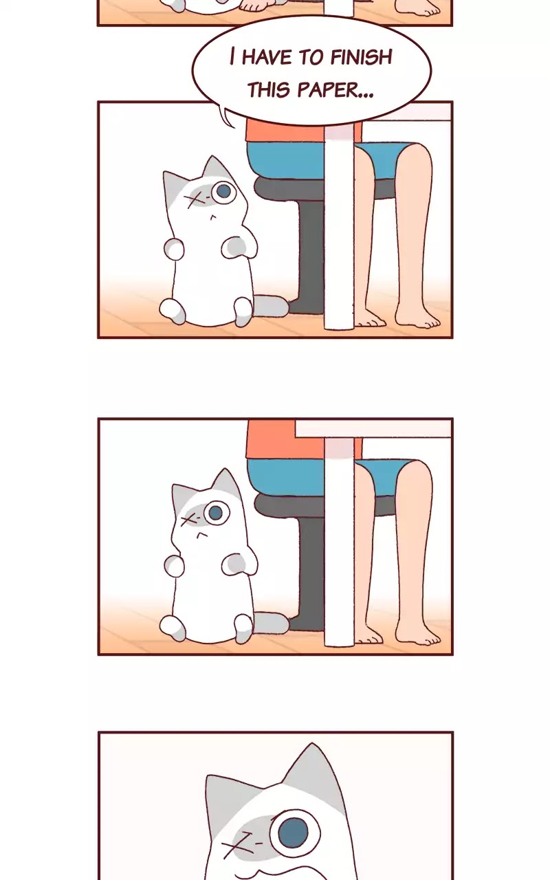 Saphie: The One-Eyed Cat Chapter 208 page 3 - Chapter 208: Essay Priorities