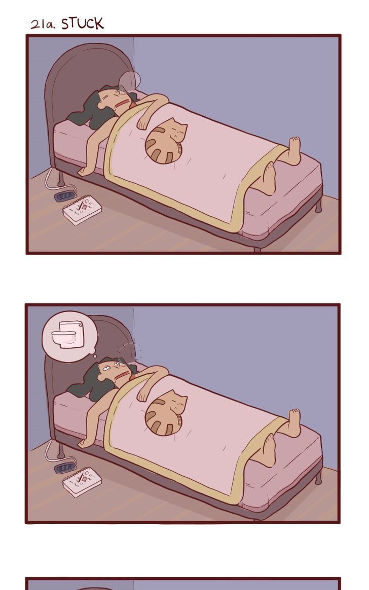 Saphie: The One-Eyed Cat Chapter 21 page 1 - Chapter 21