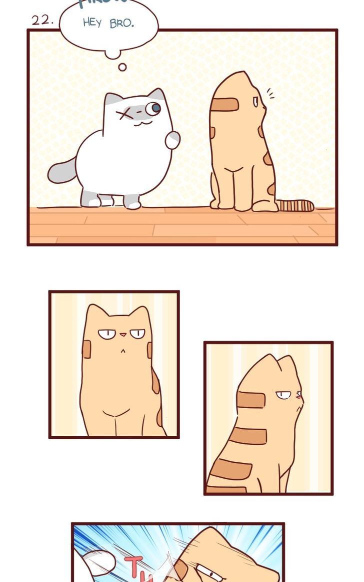 Saphie: The One-Eyed Cat Chapter 22 page 2 - Chapter 22