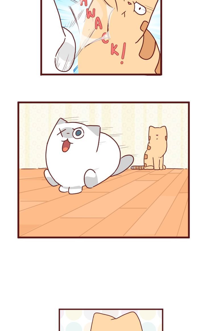Saphie: The One-Eyed Cat Chapter 22 page 3 - Chapter 22