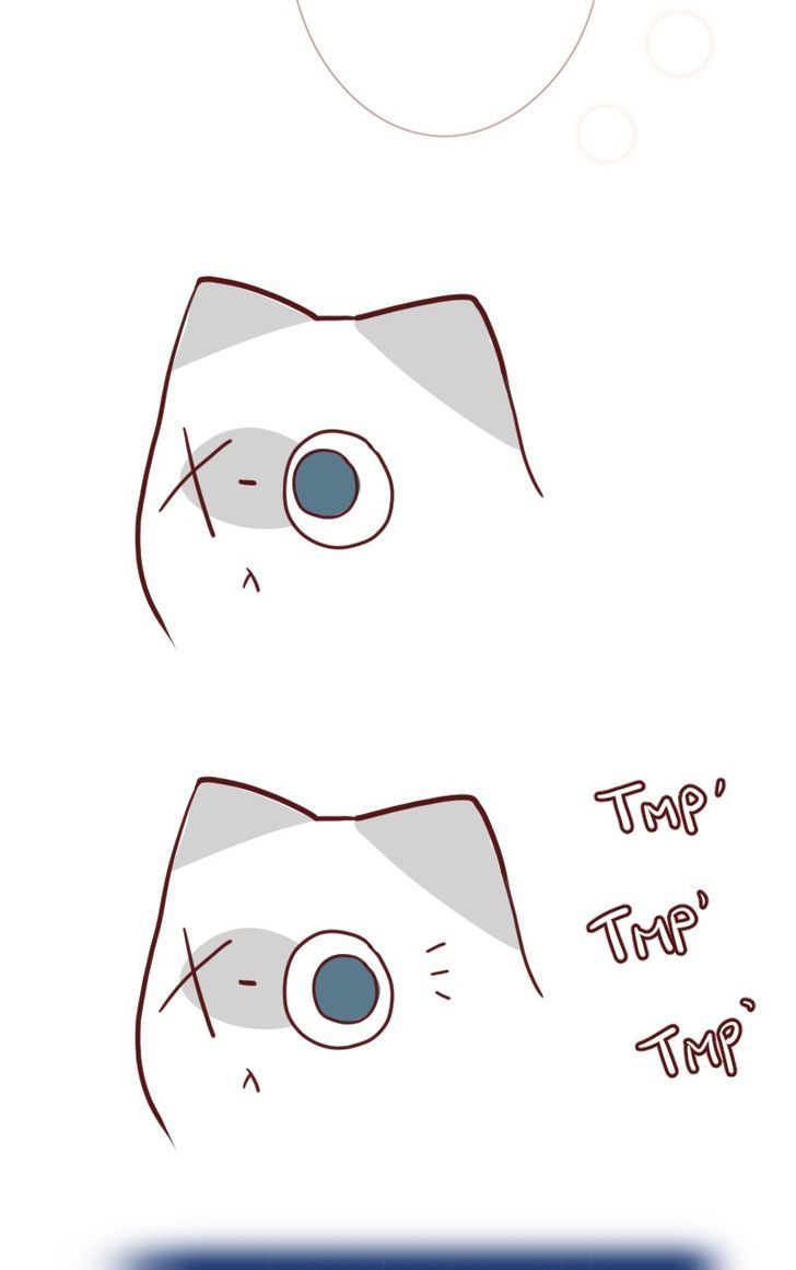 Saphie: The One-Eyed Cat Chapter 22 page 8 - Chapter 22