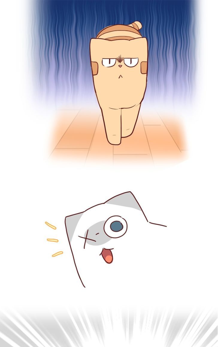 Saphie: The One-Eyed Cat Chapter 22 page 9 - Chapter 22
