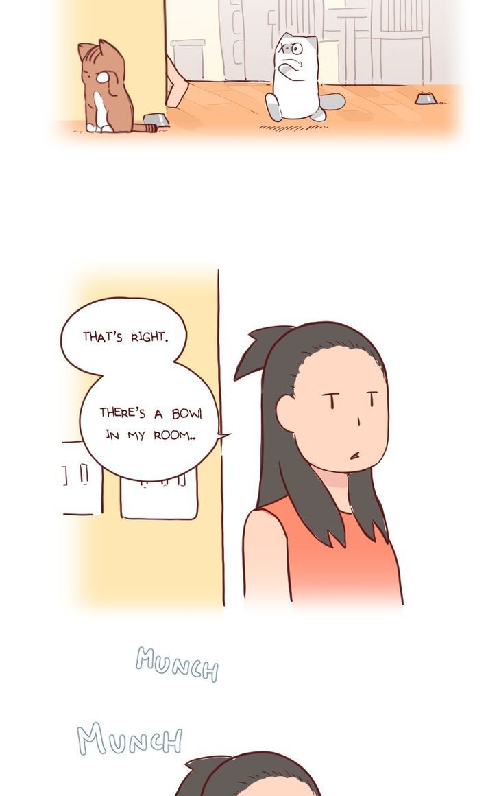 Saphie: The One-Eyed Cat Chapter 23 page 2 - Chapter 23 : Accidental Discovery