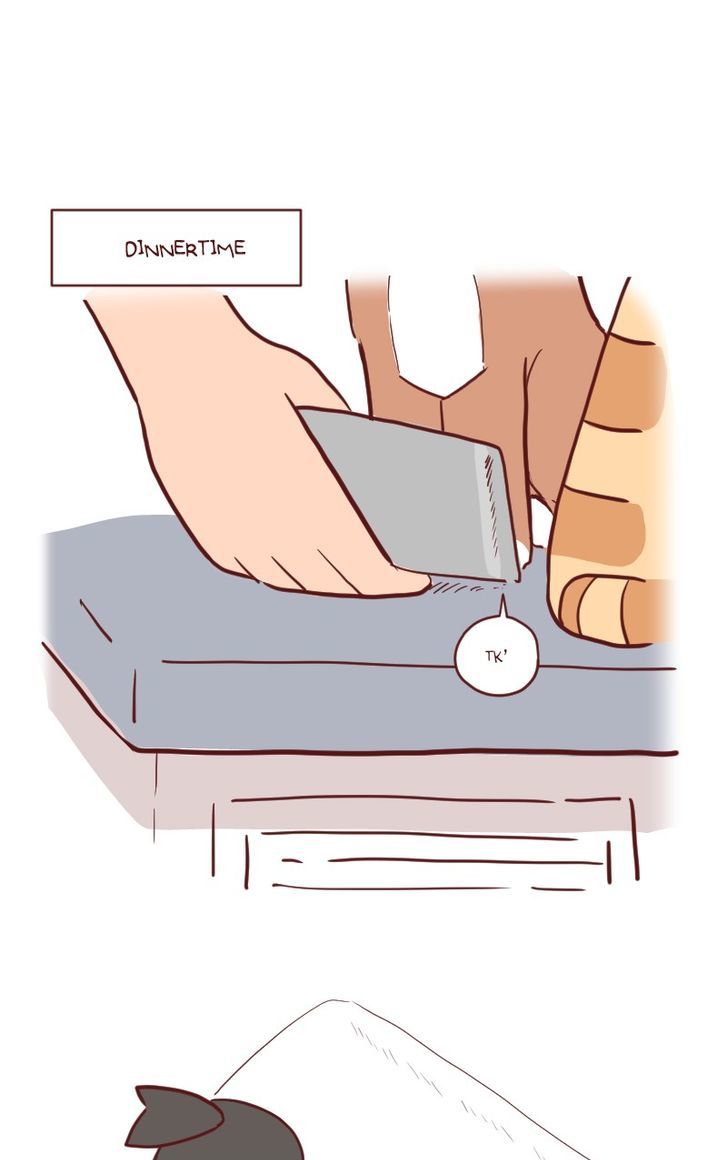 Saphie: The One-Eyed Cat Chapter 23 page 4 - Chapter 23 : Accidental Discovery