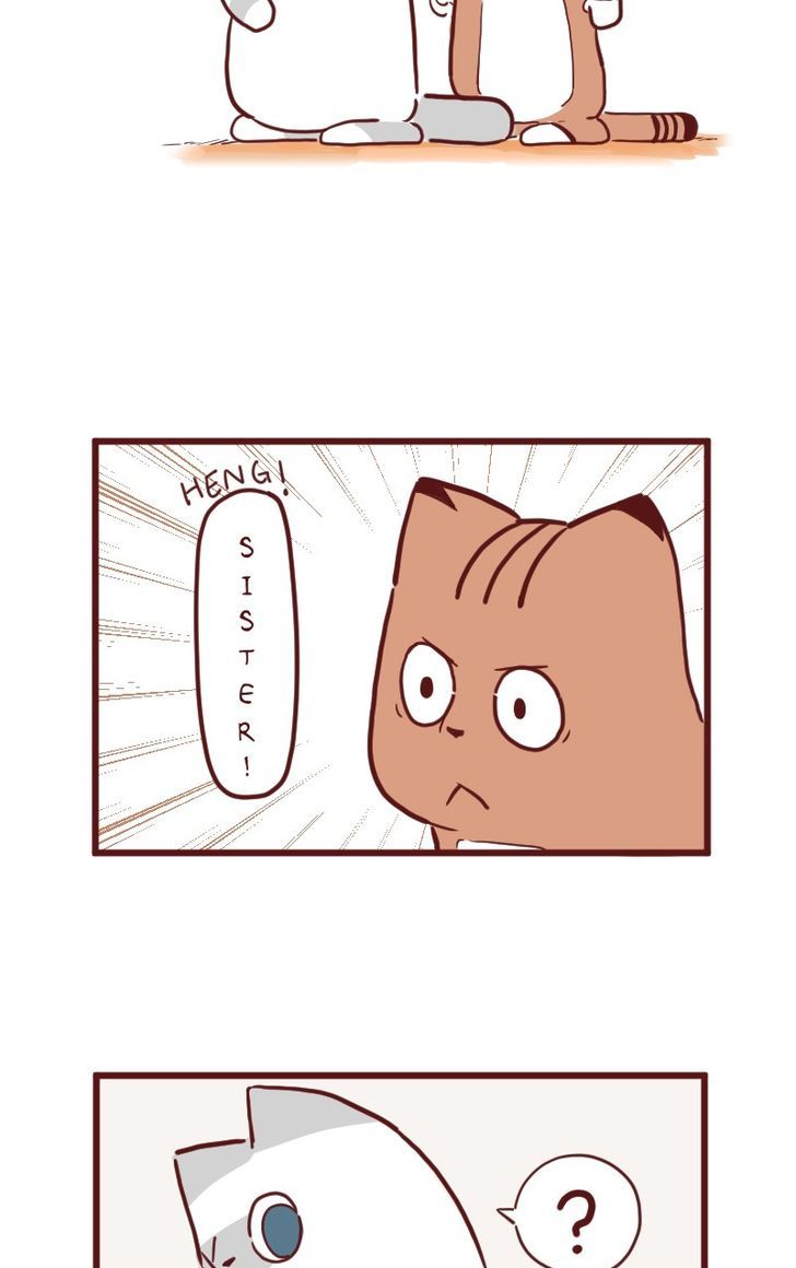 Saphie: The One-Eyed Cat Chapter 24 page 2 - Chapter 24 : Retry