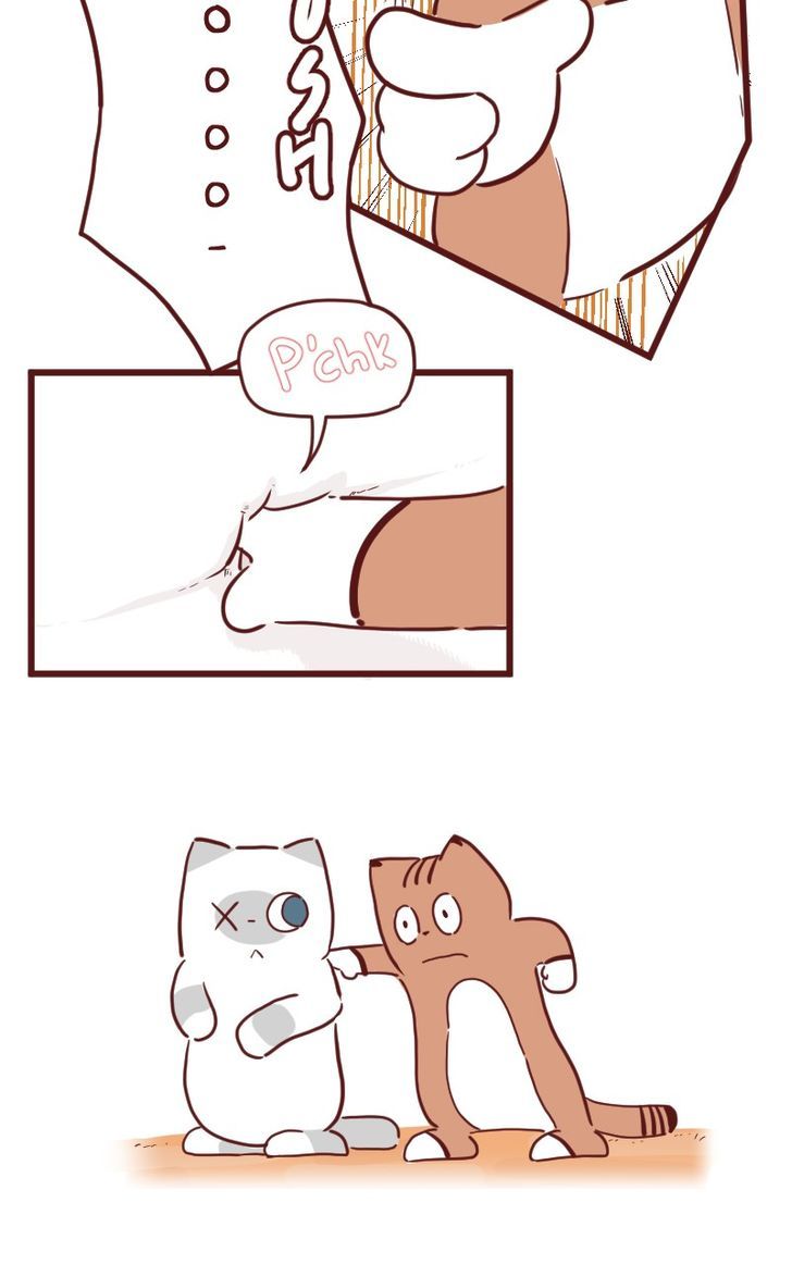 Saphie: The One-Eyed Cat Chapter 24 page 4 - Chapter 24 : Retry