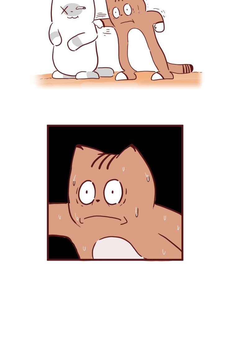 Saphie: The One-Eyed Cat Chapter 24 page 6 - Chapter 24 : Retry