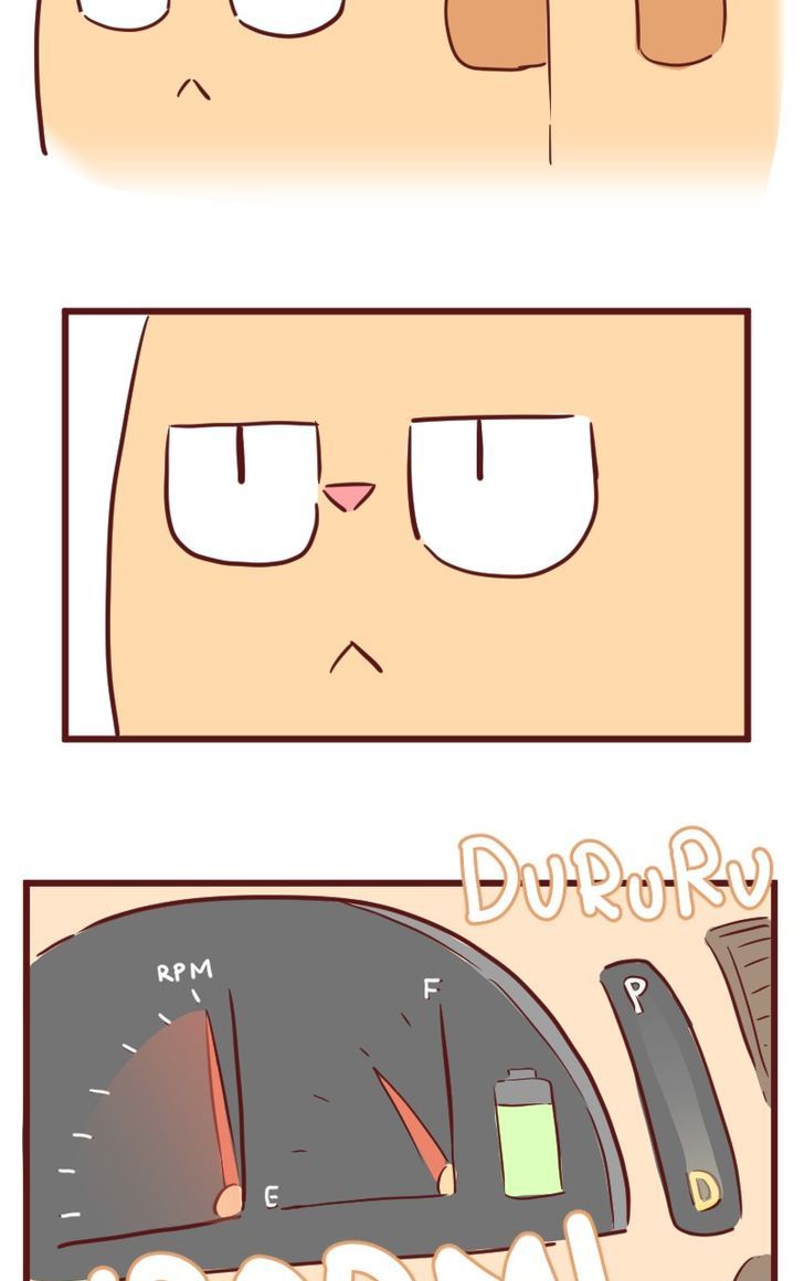 Saphie: The One-Eyed Cat Chapter 26 page 13 - Chapter 26