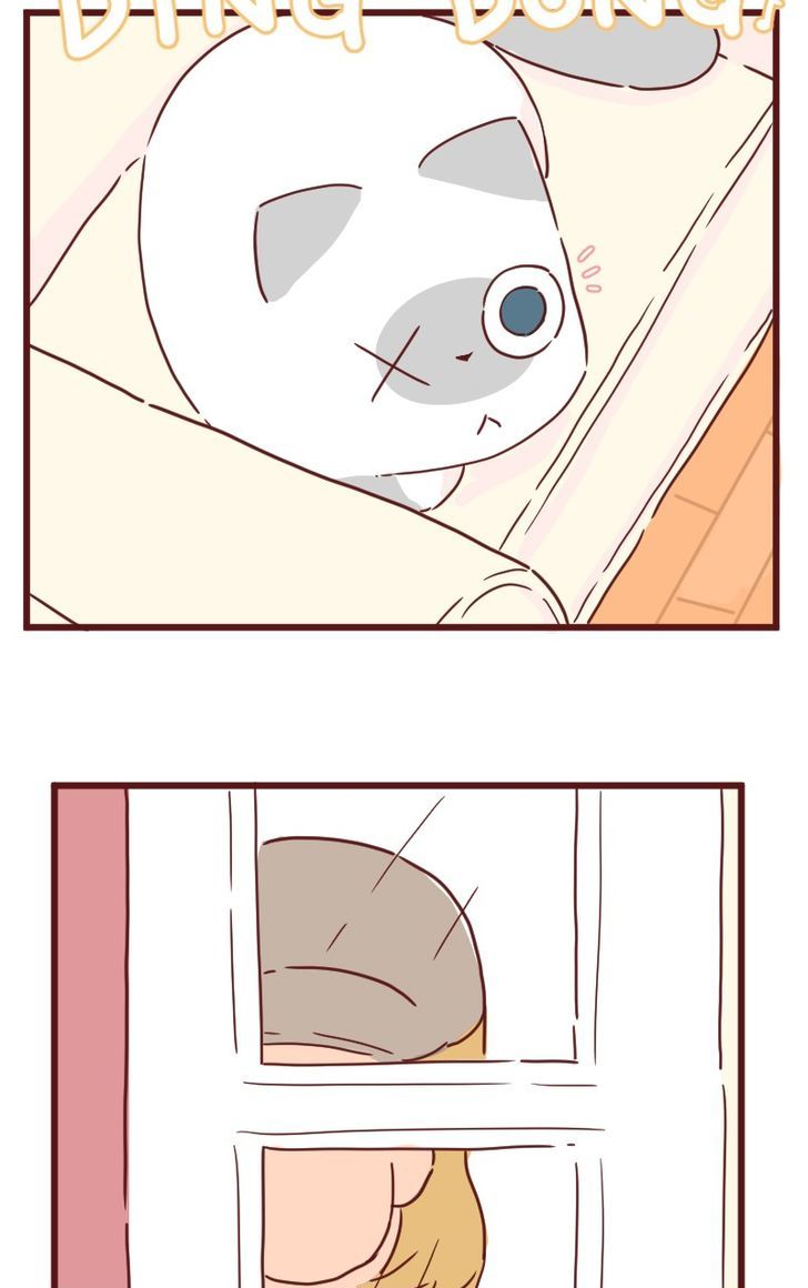 Saphie: The One-Eyed Cat Chapter 27 page 11 - Chapter 27