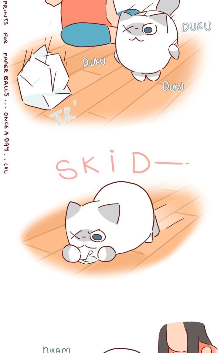 Saphie: The One-Eyed Cat Chapter 27 page 4 - Chapter 27