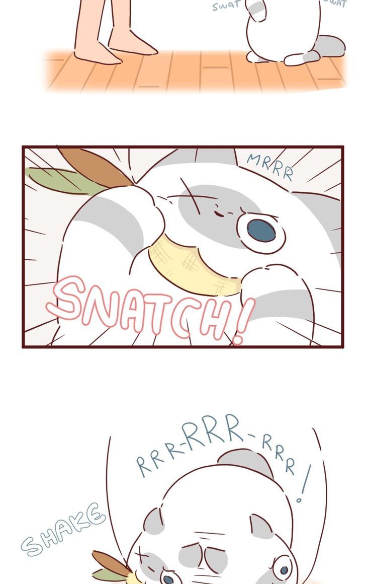 Saphie: The One-Eyed Cat Chapter 27 page 8 - Chapter 27
