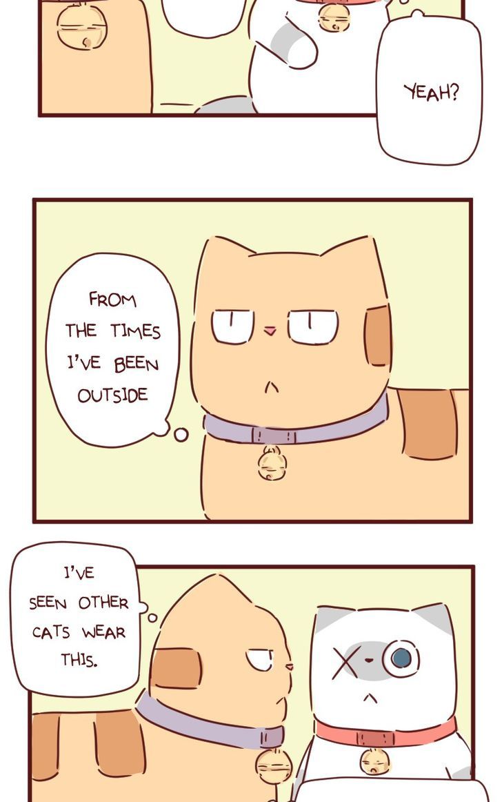 Saphie: The One-Eyed Cat Chapter 28 page 13 - Chapter 28