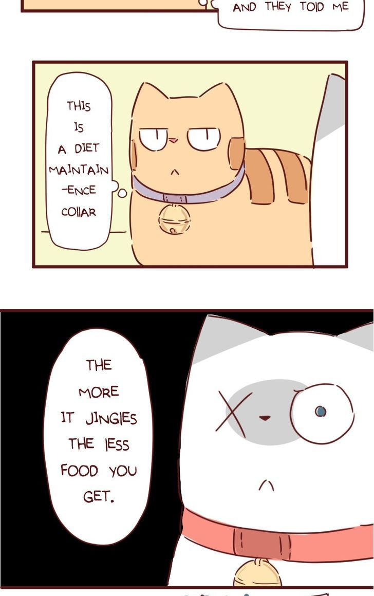 Saphie: The One-Eyed Cat Chapter 28 page 14 - Chapter 28