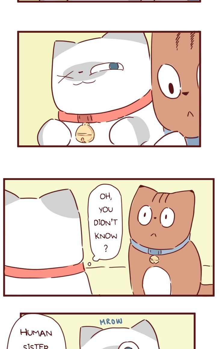 Saphie: The One-Eyed Cat Chapter 28 page 6 - Chapter 28