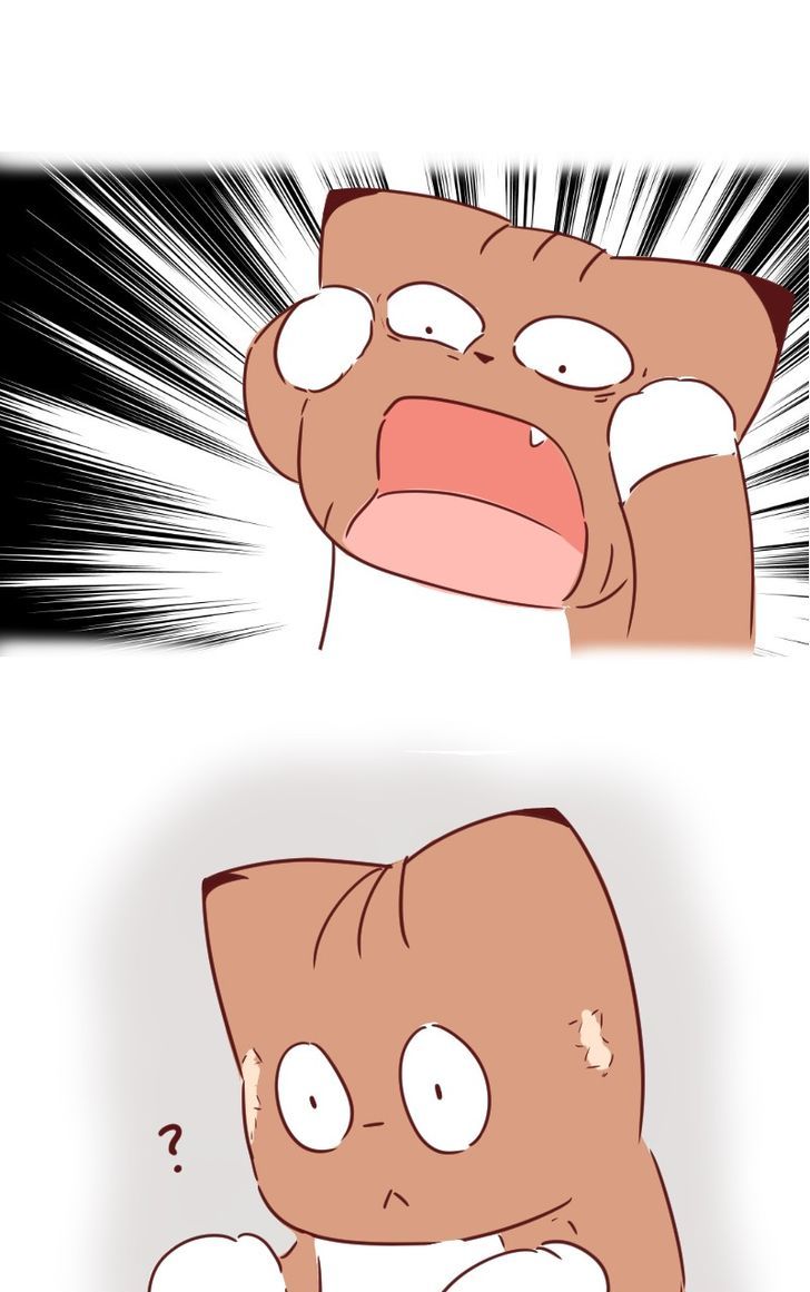 Saphie: The One-Eyed Cat Chapter 29 page 10 - Chapter 29
