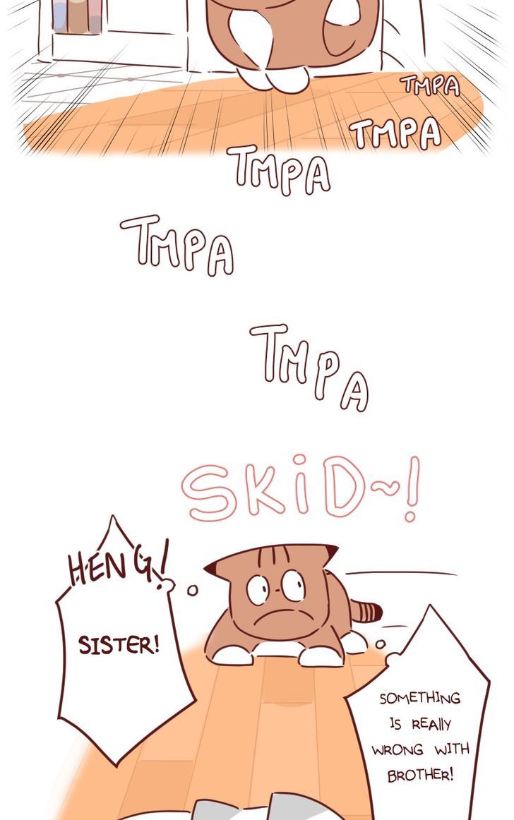 Saphie: The One-Eyed Cat Chapter 29 page 7 - Chapter 29