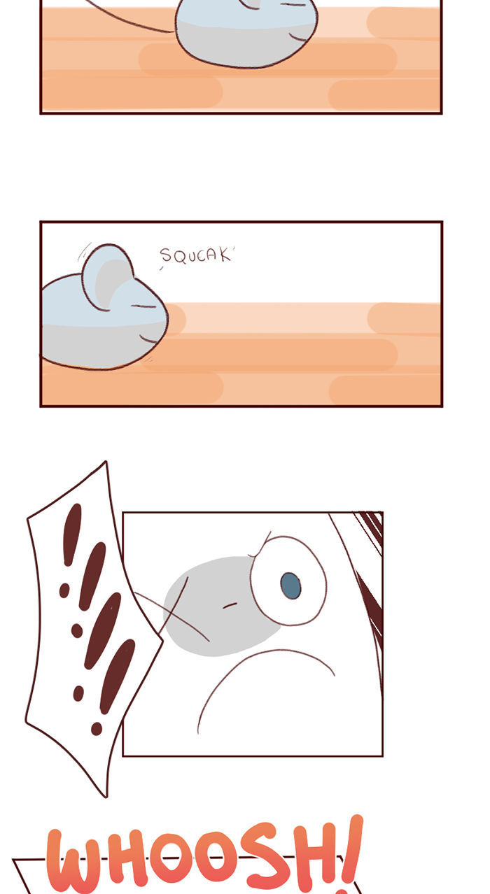 Saphie: The One-Eyed Cat Chapter 3 page 12 - Chapter 3