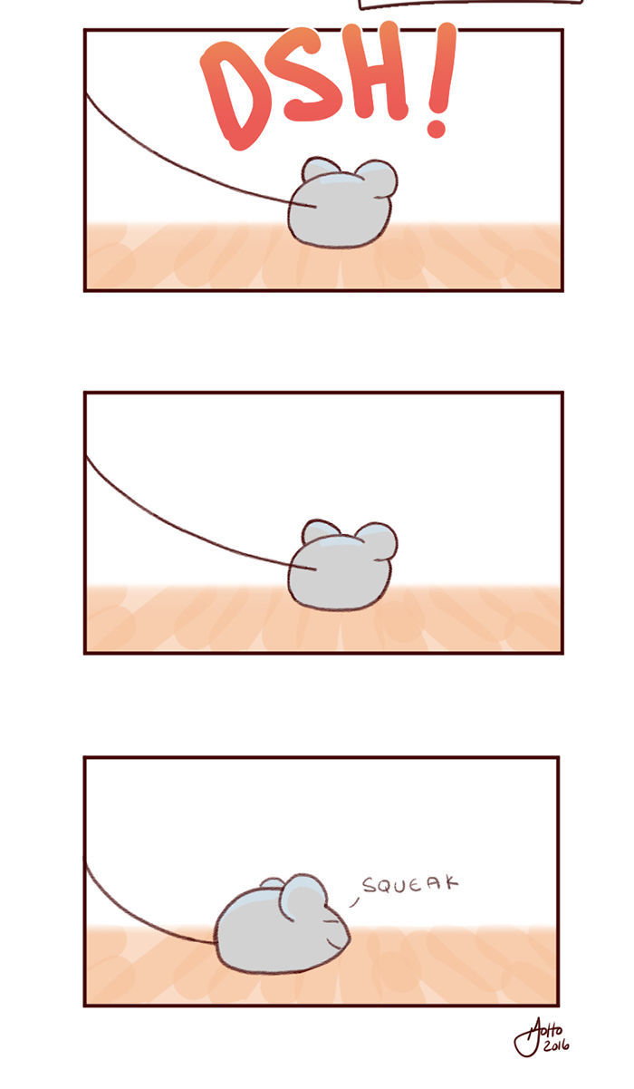 Saphie: The One-Eyed Cat Chapter 3 page 15 - Chapter 3