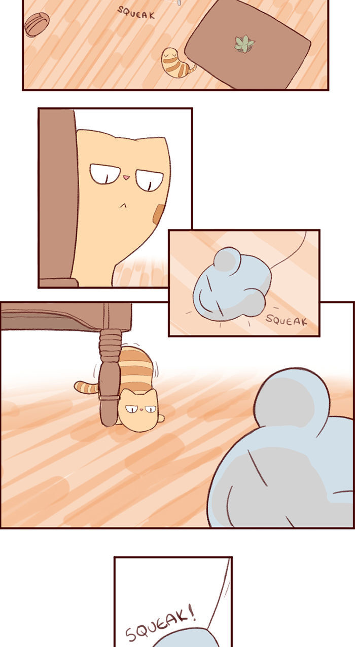 Saphie: The One-Eyed Cat Chapter 3 page 2 - Chapter 3