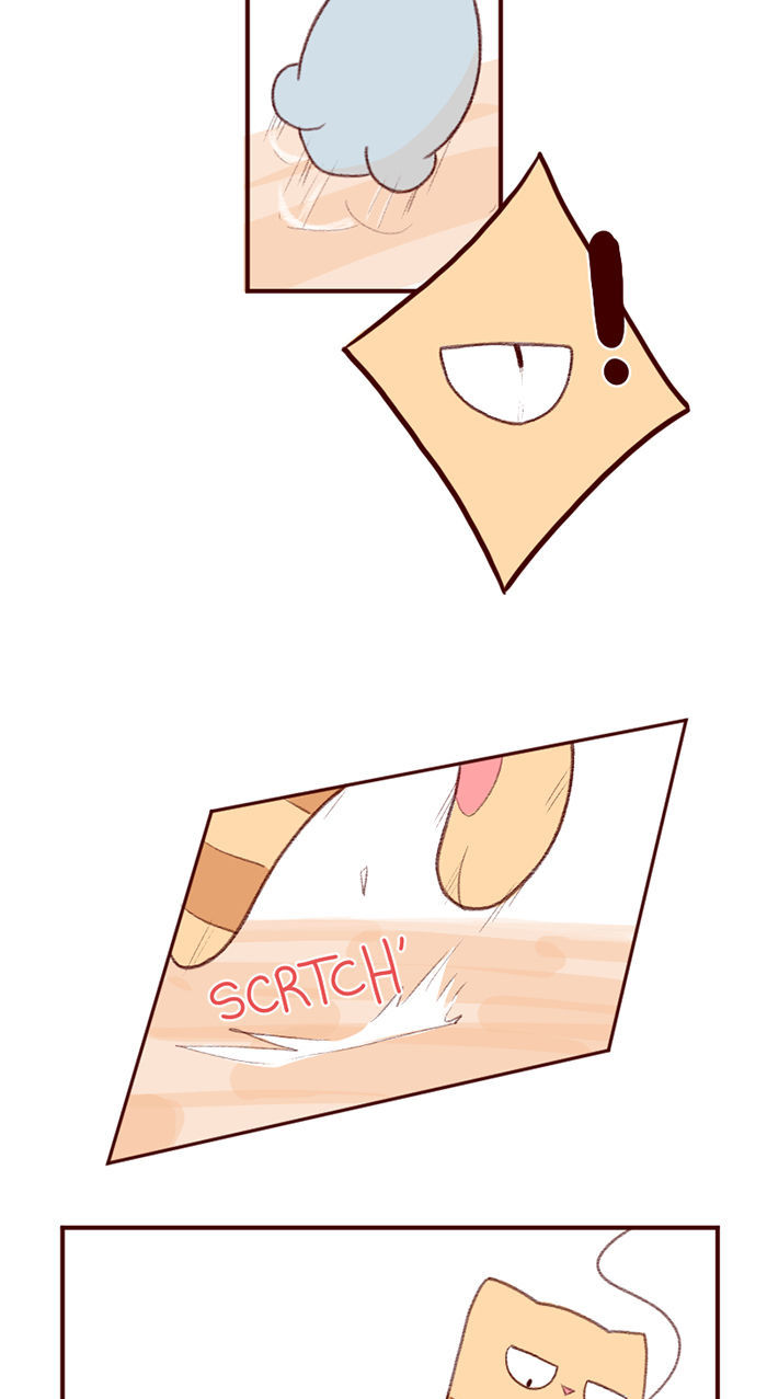 Saphie: The One-Eyed Cat Chapter 3 page 3 - Chapter 3