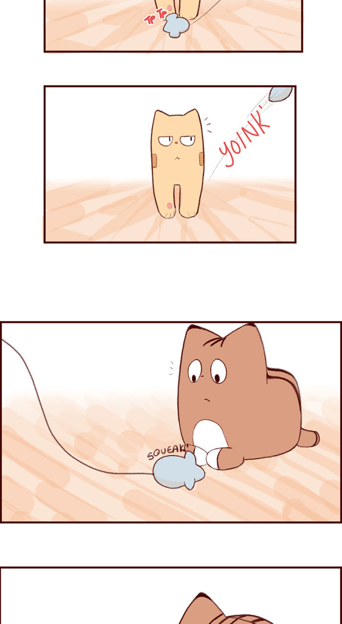 Saphie: The One-Eyed Cat Chapter 3 page 5 - Chapter 3