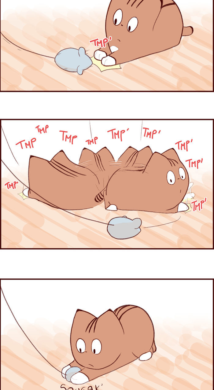 Saphie: The One-Eyed Cat Chapter 3 page 6 - Chapter 3