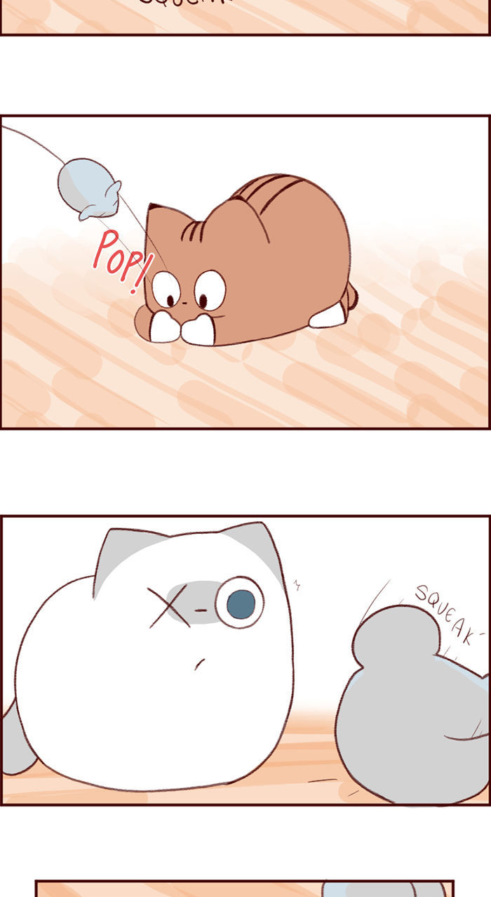 Saphie: The One-Eyed Cat Chapter 3 page 7 - Chapter 3