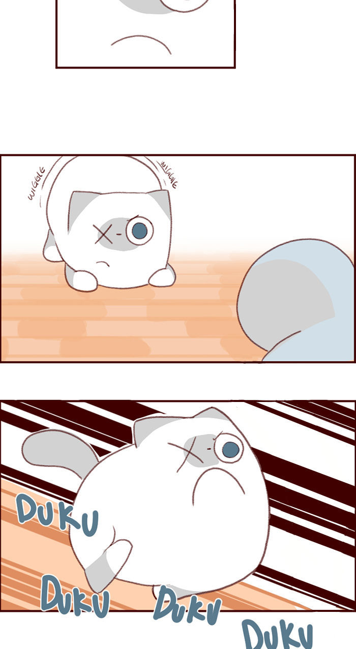 Saphie: The One-Eyed Cat Chapter 3 page 9 - Chapter 3