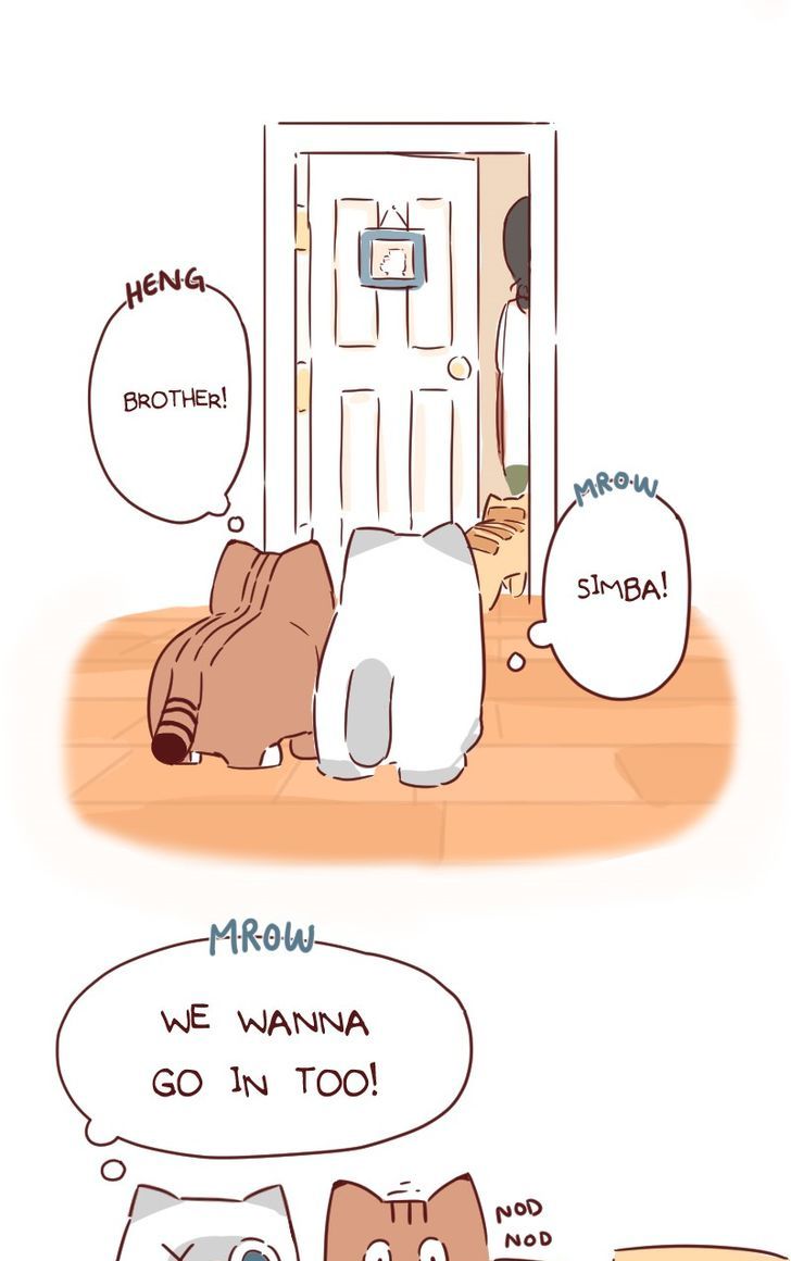 Saphie: The One-Eyed Cat Chapter 30 page 14 - Chapter 30