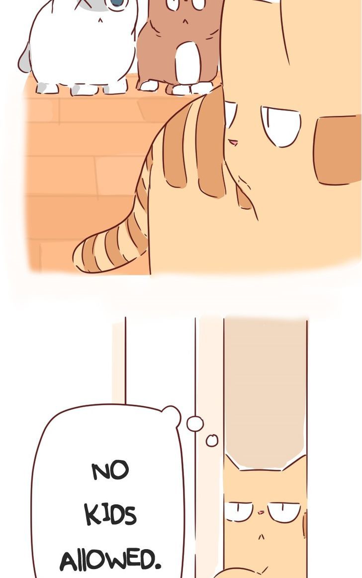 Saphie: The One-Eyed Cat Chapter 30 page 15 - Chapter 30