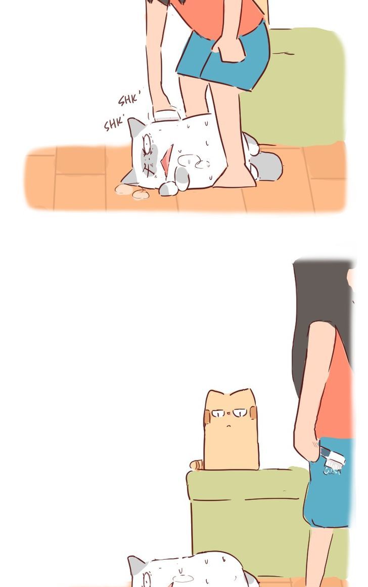 Saphie: The One-Eyed Cat Chapter 31 page 12 - Chapter 31