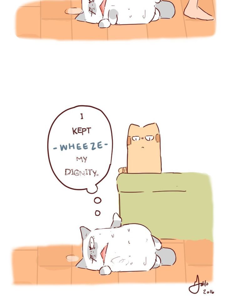 Saphie: The One-Eyed Cat Chapter 31 page 13 - Chapter 31