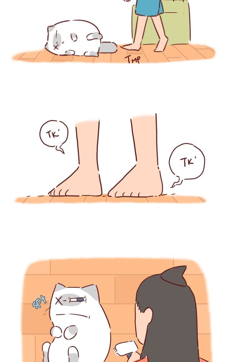 Saphie: The One-Eyed Cat Chapter 31 page 2 - Chapter 31