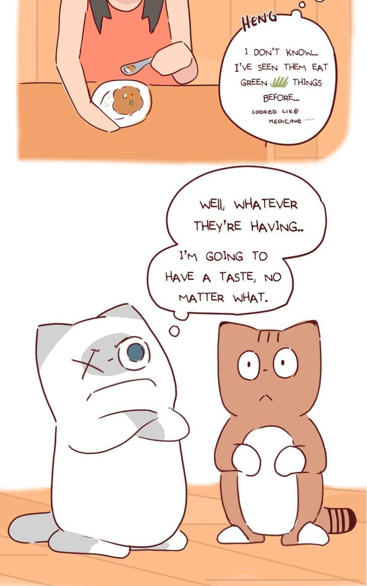 Saphie: The One-Eyed Cat Chapter 32 page 3 - Chapter 32