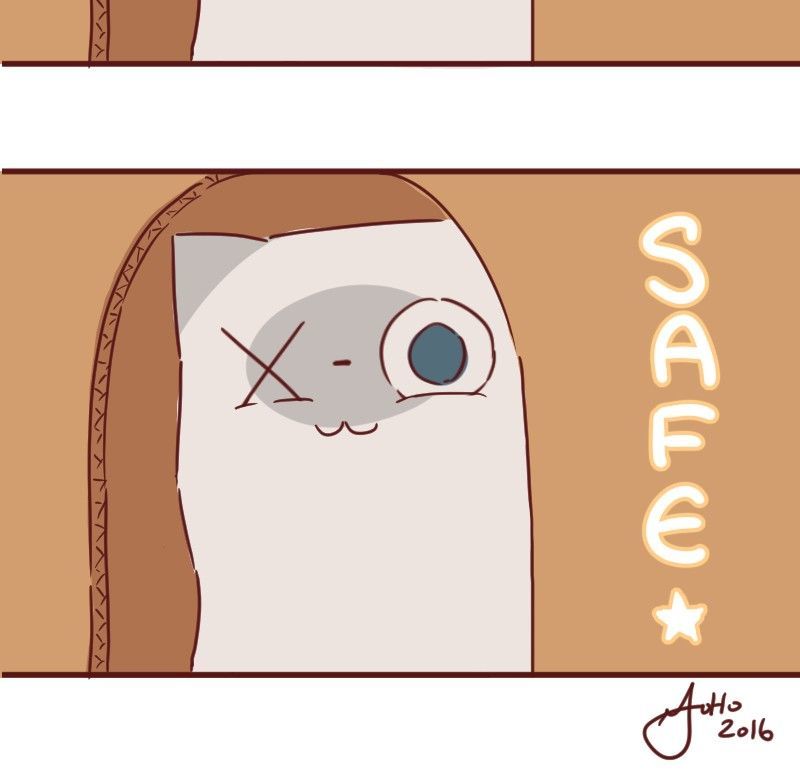 Saphie: The One-Eyed Cat Chapter 33 page 13 - Chapter 33