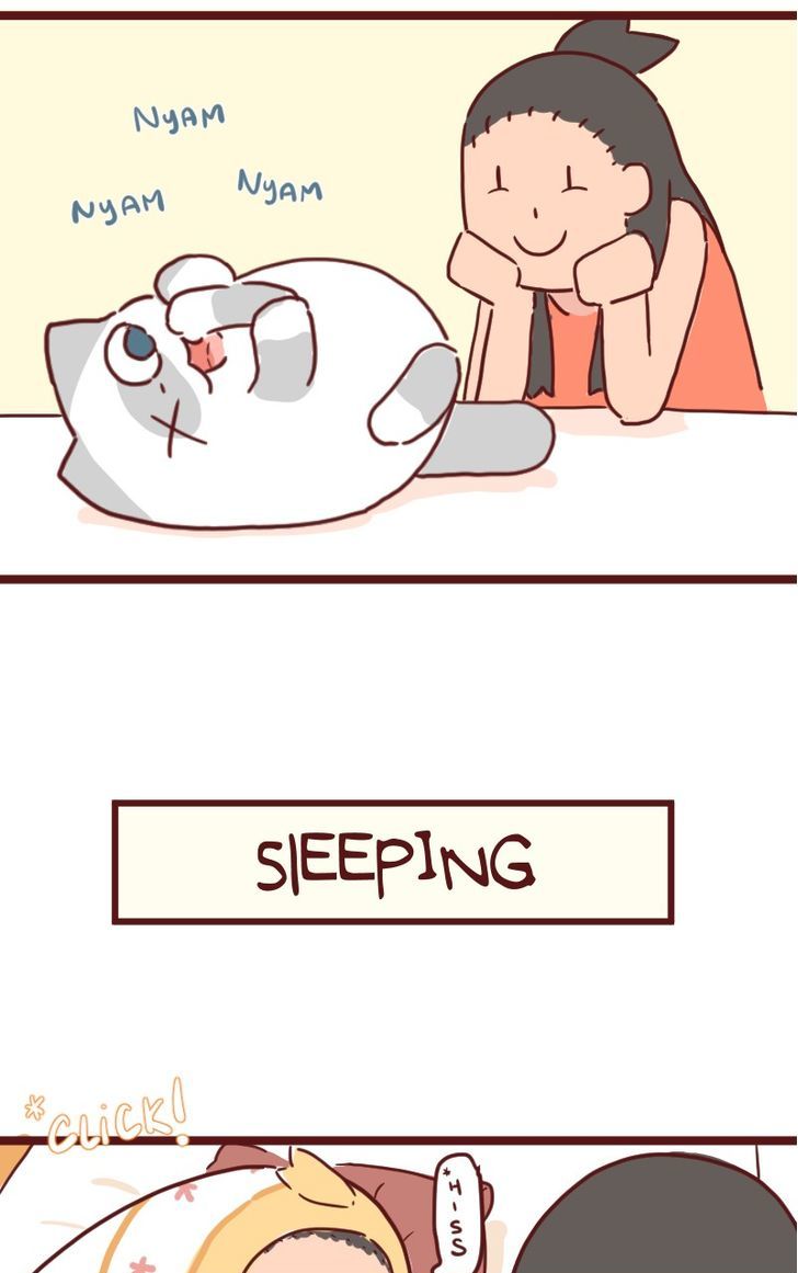 Saphie: The One-Eyed Cat Chapter 34 page 3 - Chapter 34