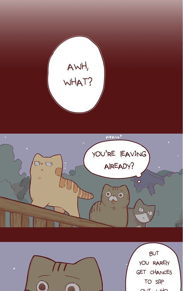 Saphie: The One-Eyed Cat Chapter 35 page 2 - Chapter 35