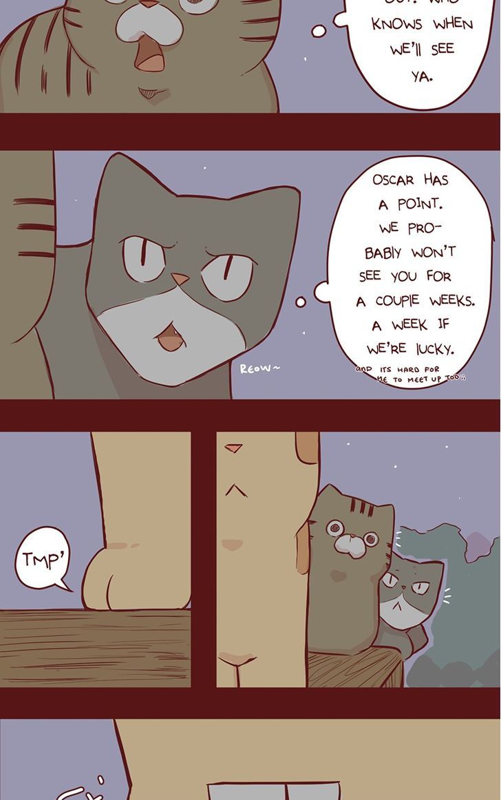 Saphie: The One-Eyed Cat Chapter 35 page 3 - Chapter 35