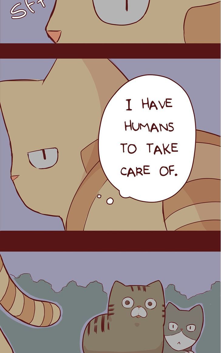 Saphie: The One-Eyed Cat Chapter 35 page 4 - Chapter 35