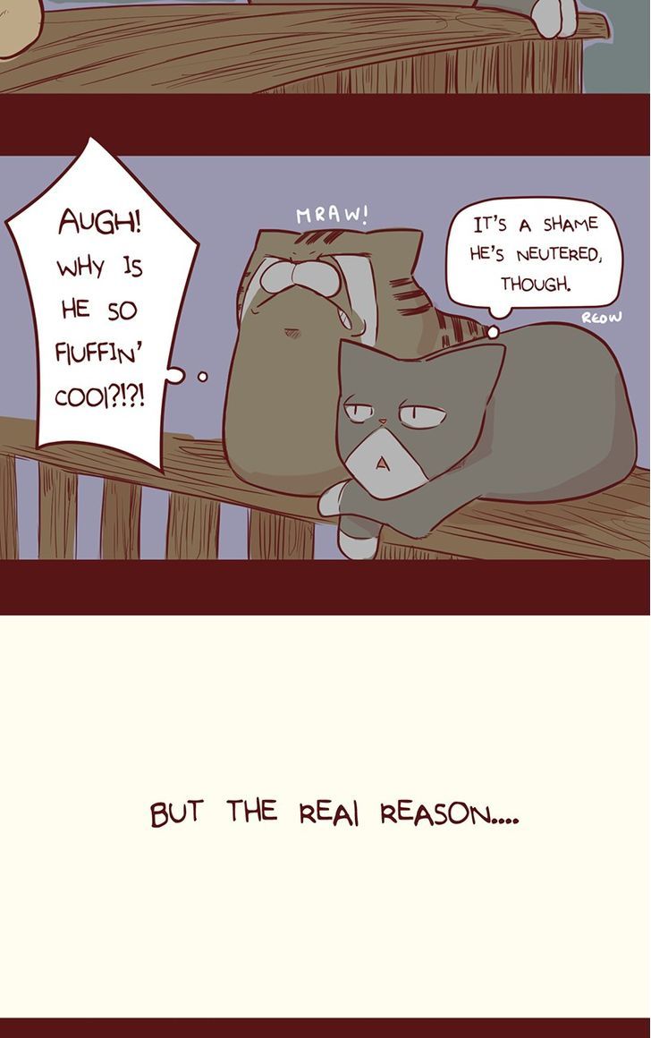 Saphie: The One-Eyed Cat Chapter 35 page 5 - Chapter 35