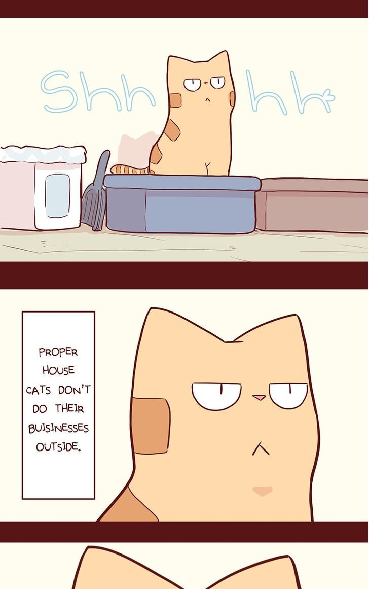 Saphie: The One-Eyed Cat Chapter 35 page 6 - Chapter 35
