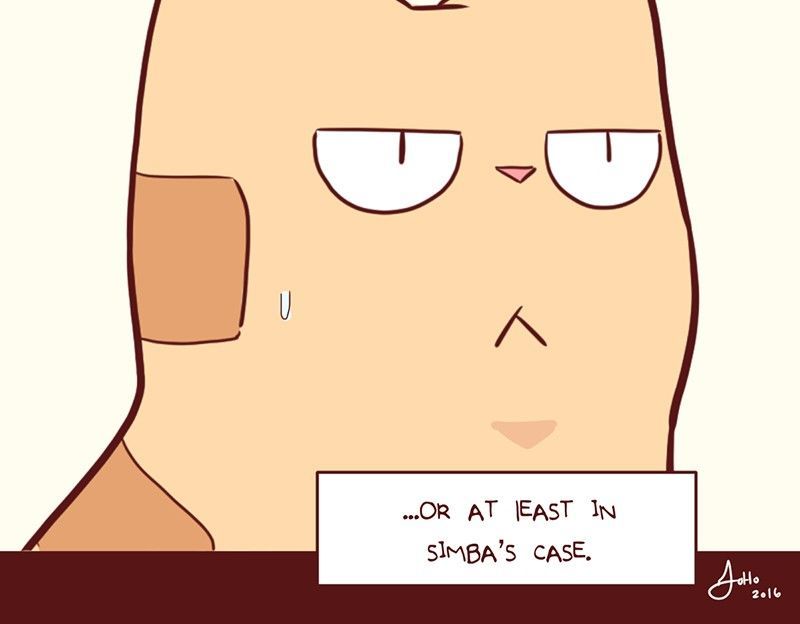 Saphie: The One-Eyed Cat Chapter 35 page 7 - Chapter 35