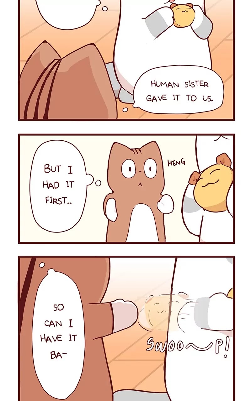Saphie: The One-Eyed Cat Chapter 36 page 3 - Chapter 36: If This Was a Manga