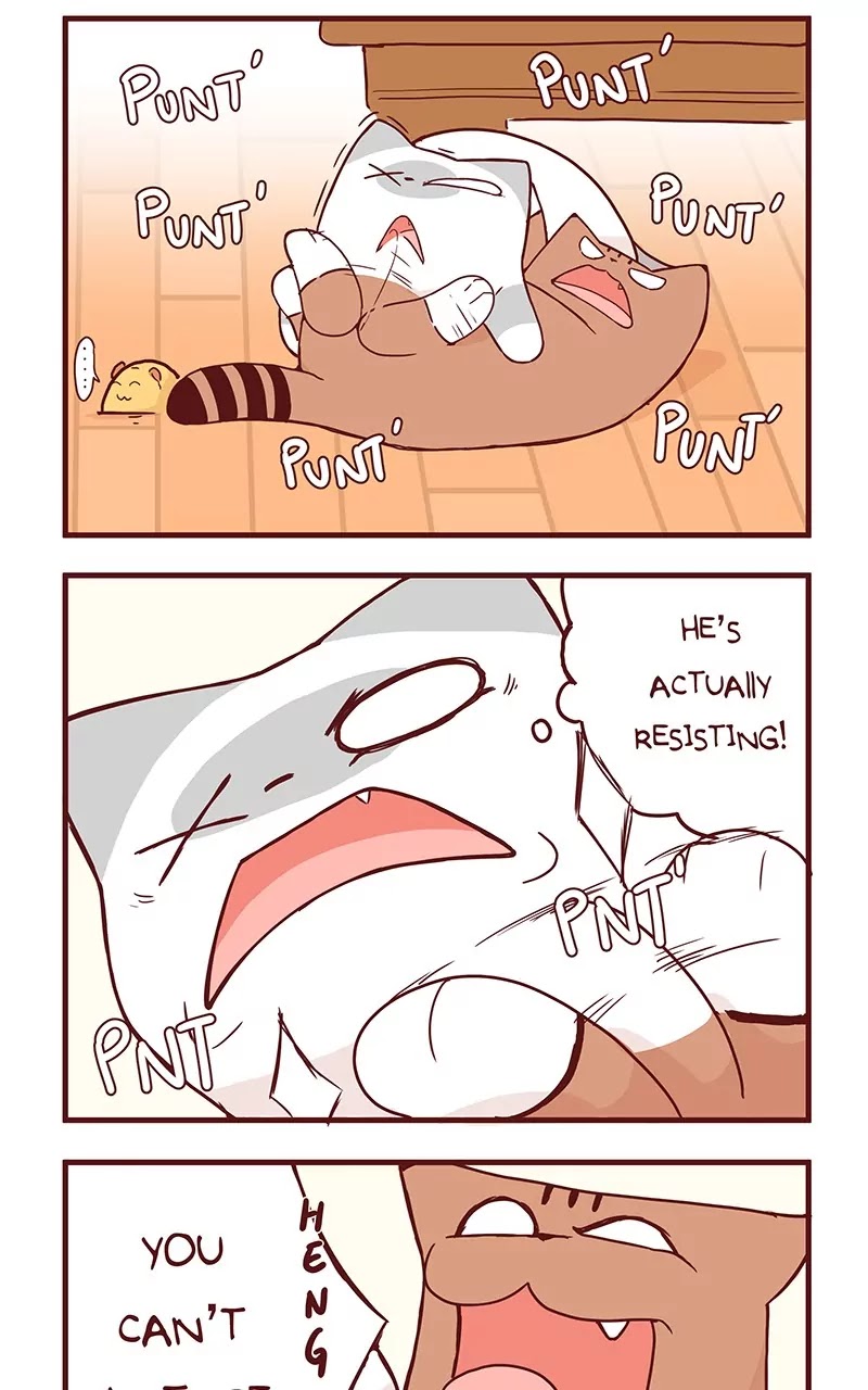 Saphie: The One-Eyed Cat Chapter 36 page 6 - Chapter 36: If This Was a Manga